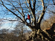 Anello Monte Ocone (1410 m) e Corna Camozzera (1452 m) dal Pertus (1300 m) il 5 gennaio 2015 - FOTOGALLERY